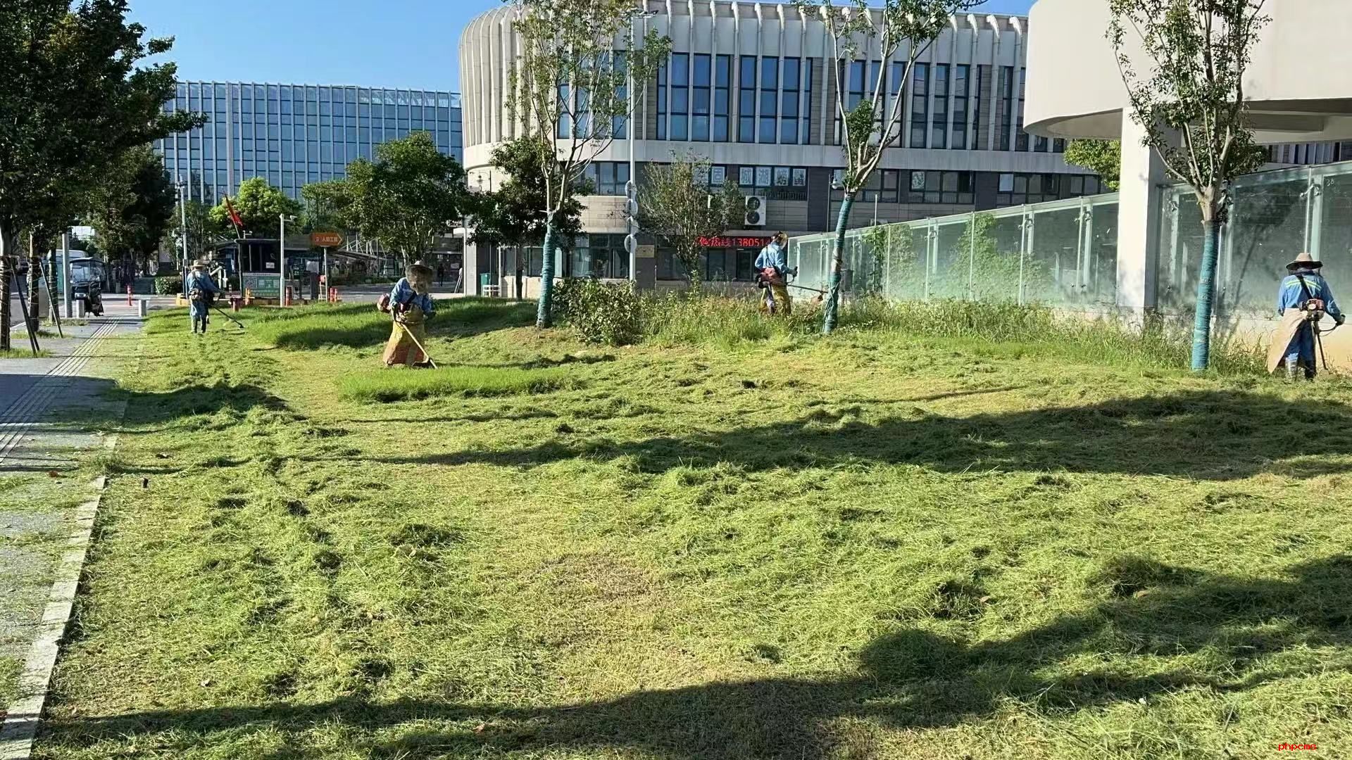 品高淳蟹 賞蟹城景，淳匯公司全面保障螃蟹城迎國慶