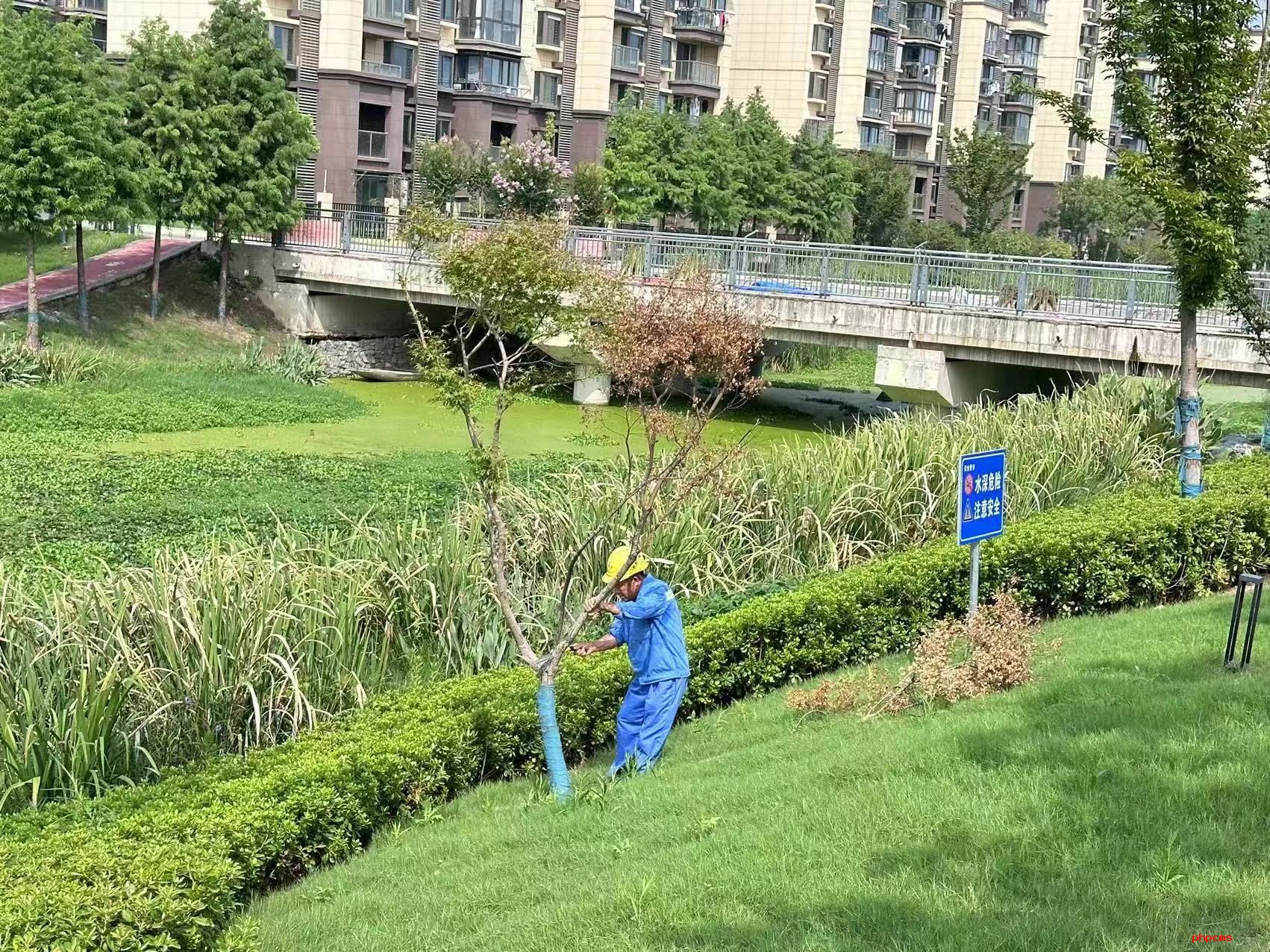 品高淳蟹 賞蟹城景，淳匯公司全面保障螃蟹城迎國慶